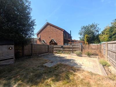 Picture 12